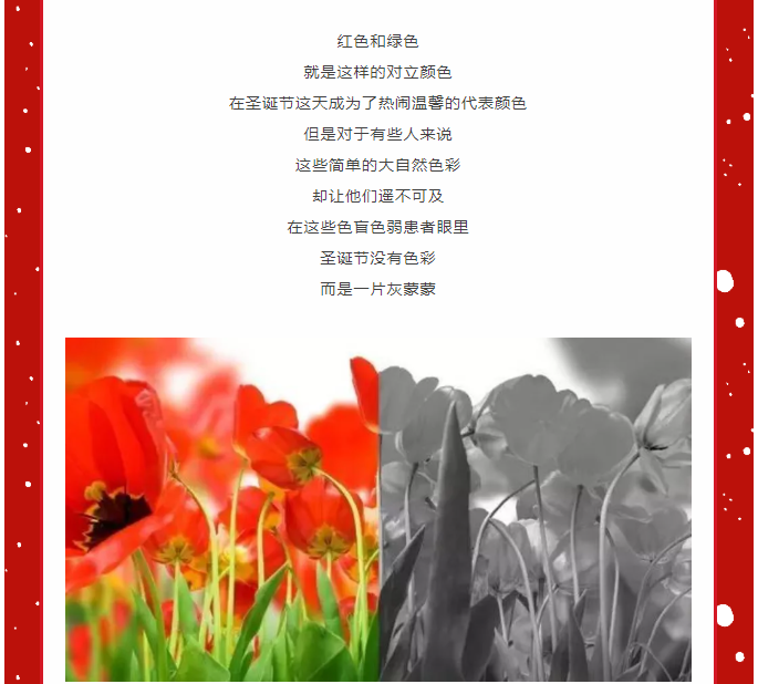 聖誕7